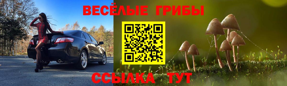 Новоалтайск  Галлюциногенные грибы ЛСД  где купить наркоту  Вход с VPN 